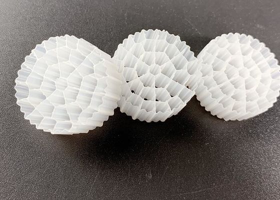 kupować Przenośne łóżko Biofilm reaktor Pływająca studnia Kaldnes Filtr media 37 Pokoje 800m2/m3 online manufacture