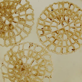 Super Dekarboryzacja MBBR Oczyszczanie wody Płynący filtr 25 mm x 4 mm