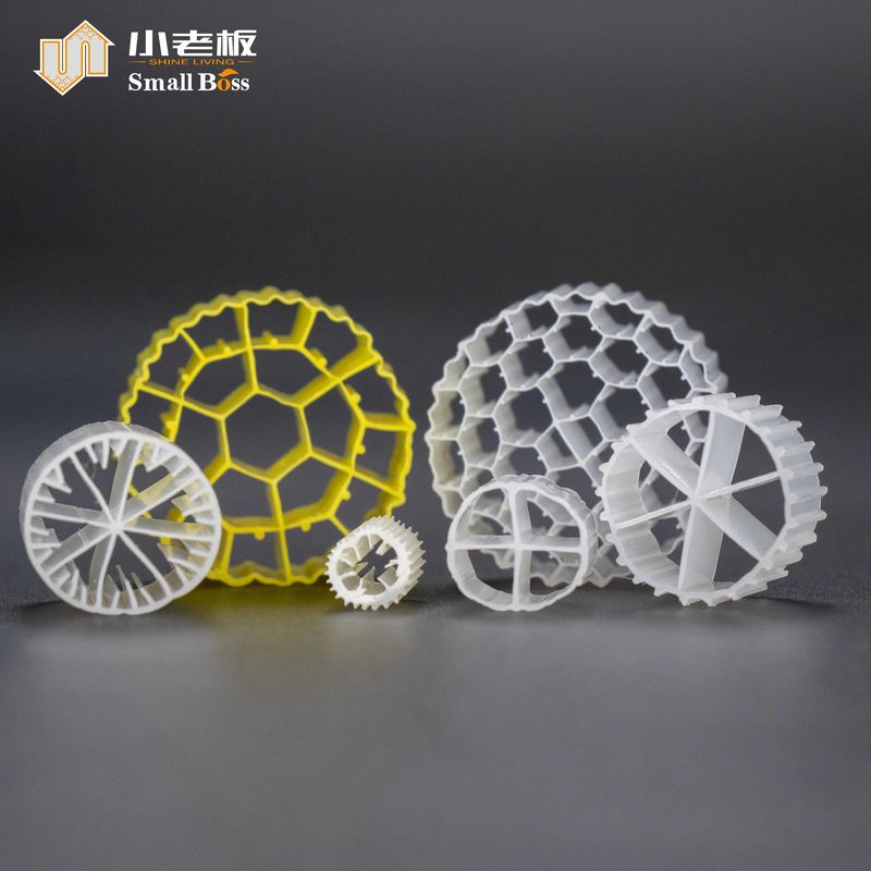 PE38 Biofilm Biofilm Biofilm Biofilm Biofilm Biofilm