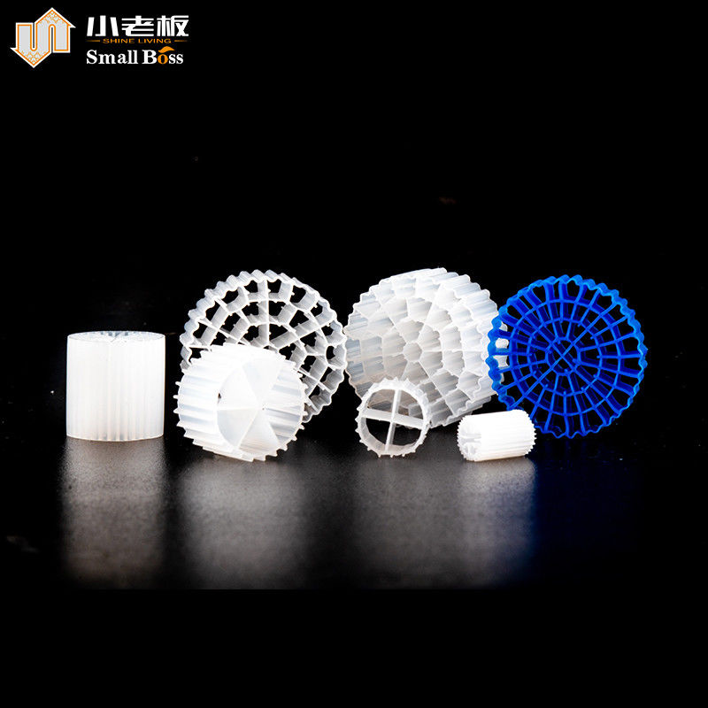 PE38 Biofilm Biofilm Biofilm Biofilm Biofilm Biofilm