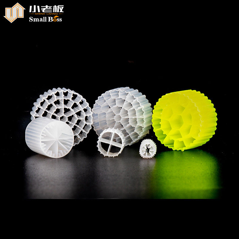 PE38 Biofilm Biofilm Biofilm Biofilm Biofilm Biofilm