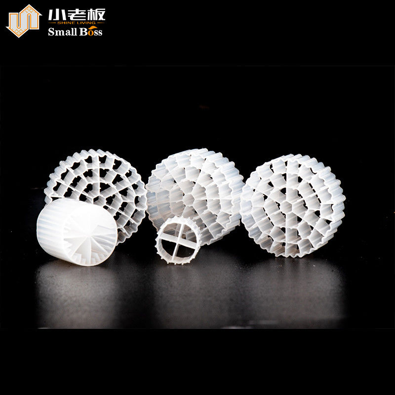 PE38 Biofilm Biofilm Biofilm Biofilm Biofilm Biofilm