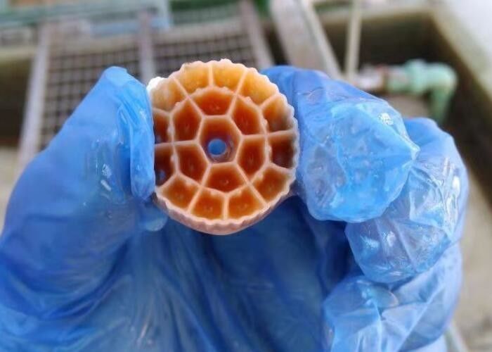 popularny kolor czarny, niewykorzystany materiał HDPE MBBR bio media do oczyszczania ścieków przemysłowych