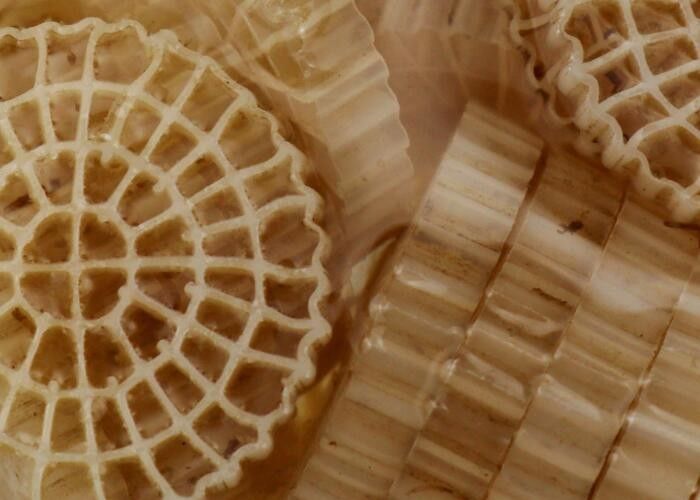 Oczyszczanie ścieków Płynący filtr 64 otwory K5 Bio media z dziewiczym materiałem HDPE